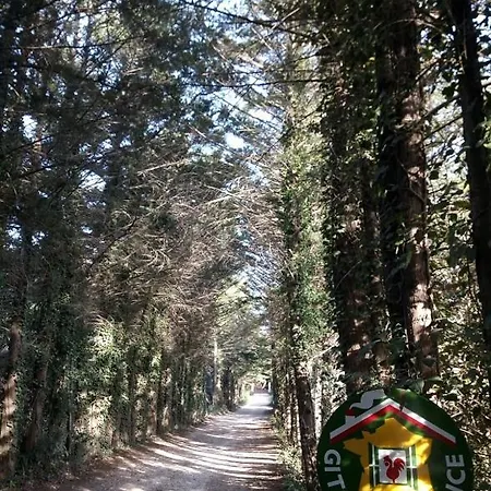 Hébergement de vacances Gite De La Bayorre Hyères