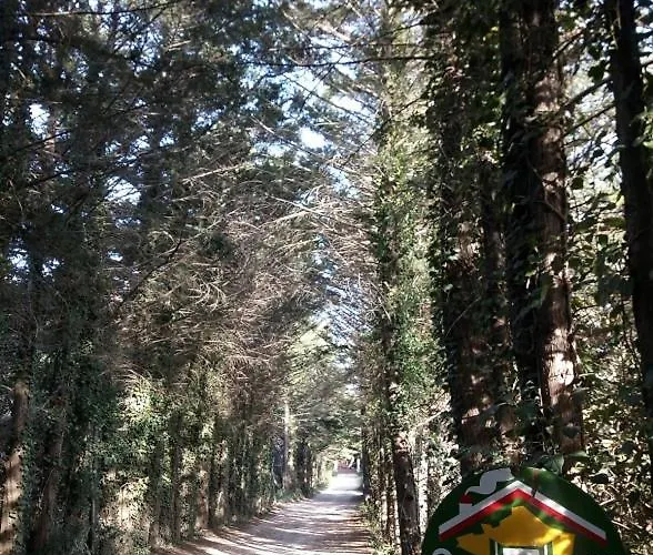 Feriehus De La Bayorre Hyères