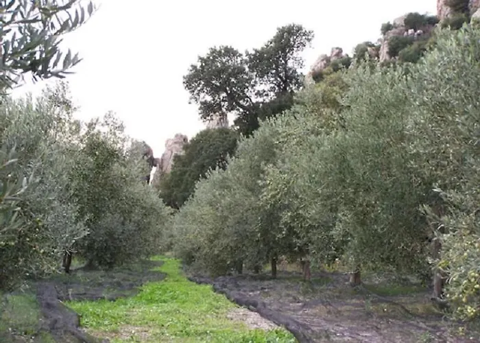 De La Bayorre Feriehus